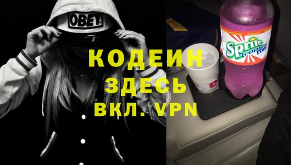 дурь Пестово