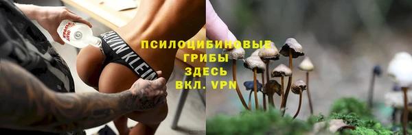 дурь Пестово