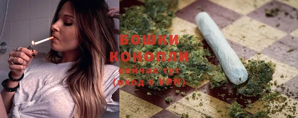 дурь Пестово